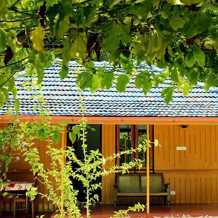 Marari Beach Pearl Homestay Mararikulam Εξωτερικό φωτογραφία