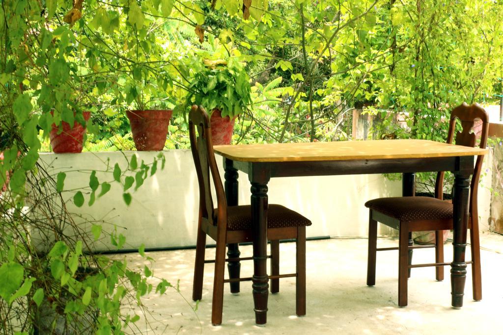 Marari Beach Pearl Homestay Mararikulam Εξωτερικό φωτογραφία